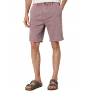 Paige Thompson Shorts in Vintage Desert Lilac 9790718_1017548