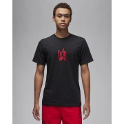 Nike Jordan Brand Mens Graphic T-Shirt FD7025-010
