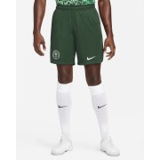 Nigeria 2022/23 Stadium Home/Away Mens Nike Dri-FIT Soccer Shorts DN0736-397
